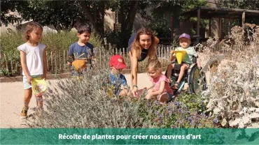 Récolte de plantes pour créer nos oeuvres d'art
