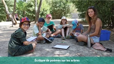Ecriture de poèmes sur les arbres
