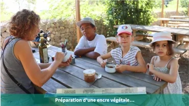 Préparation d'une encre végétale