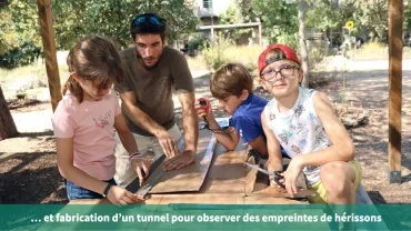 ... et fabrication d'un tunnel pour observer des empreintes de hérissons