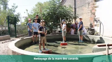 Nettoyage de la mare des canards