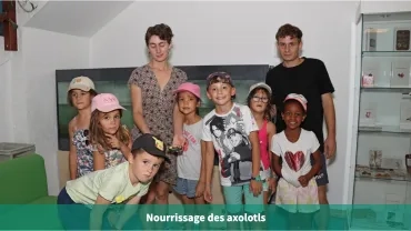 Nourrissage des axolotls