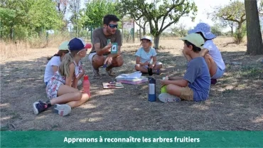 Apprenons à reconnaître les arbres fruitiers