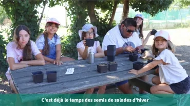 C'est déjà le temps des semis de salades d'hiver