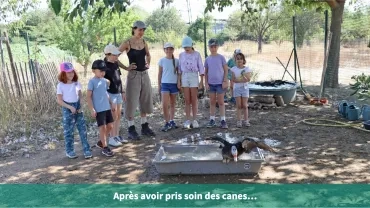 Après avoir pris soin des canes