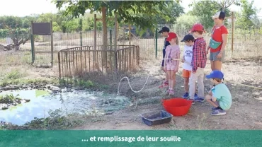 ... et remplissage de leur souille