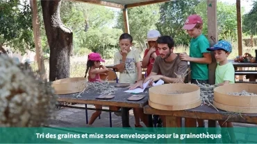 Tri des graines et mise sous enveloppes pour la grainothèque