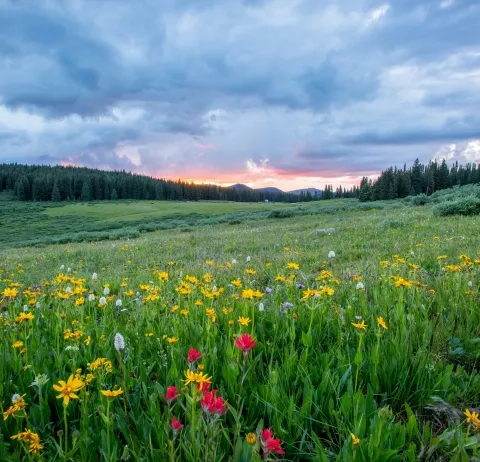 Notre accueil des classes