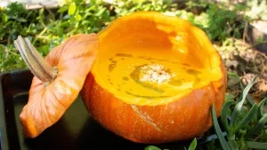 soupe de courge