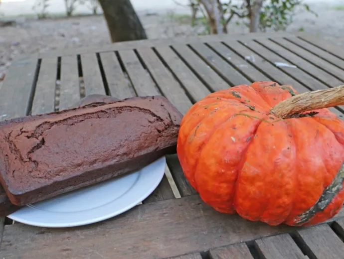 2 gâteaux marron dans une assiette à coté d'une courge sur une table en bois